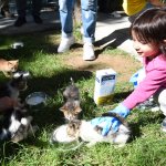 “Hayvanları Koruma Günü” Kutlandı