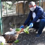 “Hayvanları Koruma Günü” Kutlandı