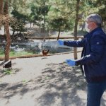 “Hayvanları Koruma Günü” Kutlandı