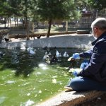 “Hayvanları Koruma Günü” Kutlandı