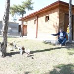 “Hayvanları Koruma Günü” Kutlandı