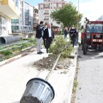 Belediyemiz, yetişmiş ağaçları toprakla buluşturmaya devam ediyor