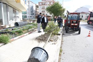 Belediyemiz, yetişmiş ağaçları toprakla buluşturmaya devam ediyor