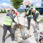 Belediyemiz, yetişmiş ağaçları toprakla buluşturmaya devam ediyor