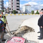 Belediyemiz, yetişmiş ağaçları toprakla buluşturmaya devam ediyor