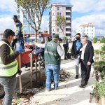 Belediyemiz, yetişmiş ağaçları toprakla buluşturmaya devam ediyor