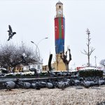 Belediyemiz, sokaktaki canları unutmuyor