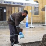 Belediyemiz, sokaktaki canları unutmuyor