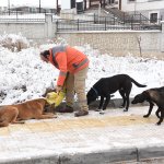 Belediyemiz, sokaktaki canları unutmuyor