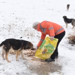 Belediyemiz, sokaktaki canları unutmuyor