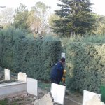 Ulu Mezarlıkta hummalı çalışma