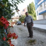 Aşgın, çalışmaları inceledi