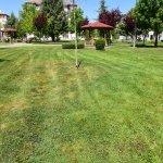 Park ve yeşil alanlar pırıl pırıl