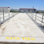 Hayvan Pazarı yeniden açılıyor