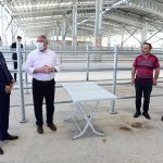 Hayvan Pazarı yeniden açılıyor