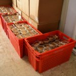 İki bin aileye sıcak yemek