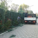 Ulu Mezarlıkta hummalı çalışma