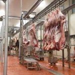 HalkEt’te kurban kesimi için online randevu sistemi açıldı