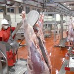 HalkEt’te kurban kesimi için online randevu sistemi açıldı