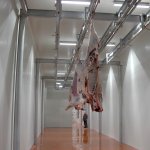 HalkEt’te kurban kesimi için online randevu sistemi açıldı