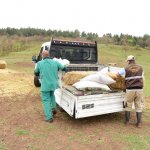 “Tüm sokak ve yaban hayvanları da bize emanet”