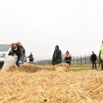 “Tüm sokak ve yaban hayvanları da bize emanet”
