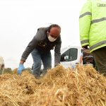 “Tüm sokak ve yaban hayvanları da bize emanet”