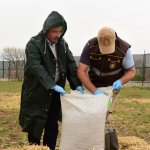 “Tüm sokak ve yaban hayvanları da bize emanet”