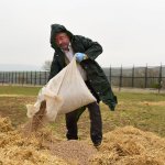 “Tüm sokak ve yaban hayvanları da bize emanet”