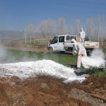 Belediye vektörle mücadeleye başladı