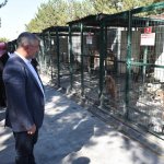 “Hayvanlar, Allah’ın bizlere emanetleridir”