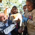 “Hayvanlar, Allah’ın bizlere emanetleridir”