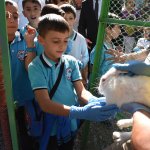 “Hayvanlar, Allah’ın bizlere emanetleridir”