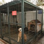 Belediye veteriner işleri 7/24 365 gün hizmet veriyor