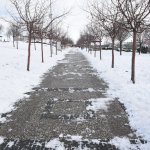 Belediyemiz'den anında müdahale