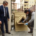 Belediye’den sokaktaki canlar için 38 kedi evi