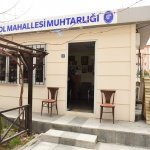 Belediye’den sokaktaki canlar için 38 kedi evi