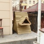 Belediye’den sokaktaki canlar için 38 kedi evi