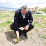 Başkan Aşgın, Guinness Ormanını inceledi