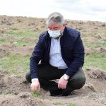 Başkan Aşgın, Guinness Ormanını inceledi