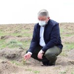 Başkan Aşgın, Guinness Ormanını inceledi