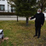 Sokağın hayvanına başkan sahip çıktı