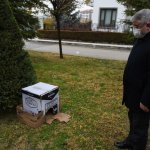 Sokağın hayvanına başkan sahip çıktı