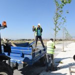 Belediyemiz, “13 bin ağacı” toprakla buluşturdu