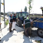 Belediyemiz, “13 bin ağacı” toprakla buluşturdu