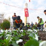 50 Bin hercai menekşe