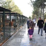 Kadın Meclisi Üyeleri duyarlılık örneği