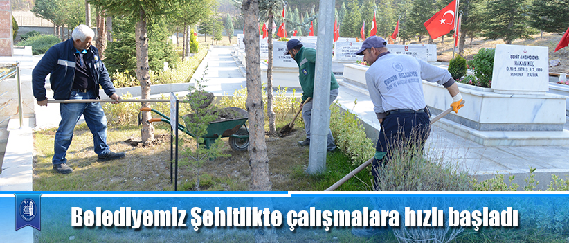 Belediyemiz Şehitlikte çalışmalara hızlı başladı
