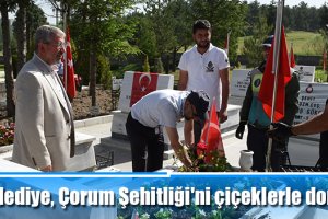 Belediye, Çorum Şehitliği'ni çiçeklerle donattı
