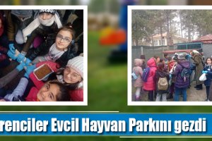 Öğrenciler Evcil Hayvan Parkını gezdi